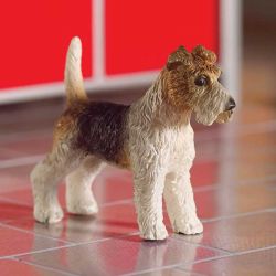 Tommy the Fox Terrier Dog