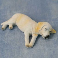 Ben the Sleepy Labrador Dog