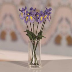 Six Beautiful Irises