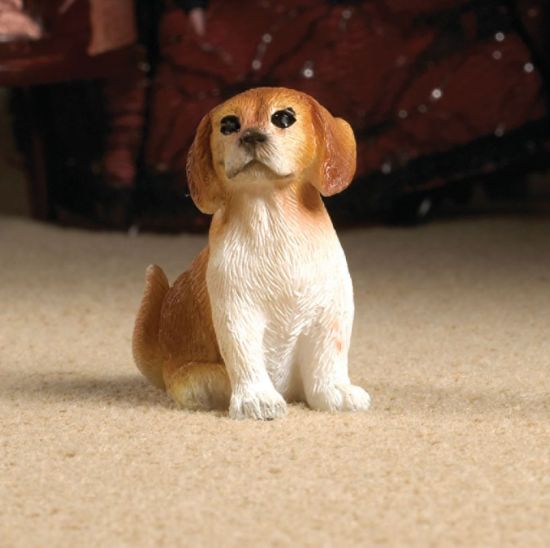 Scoobie the Brown & White Pup Dog