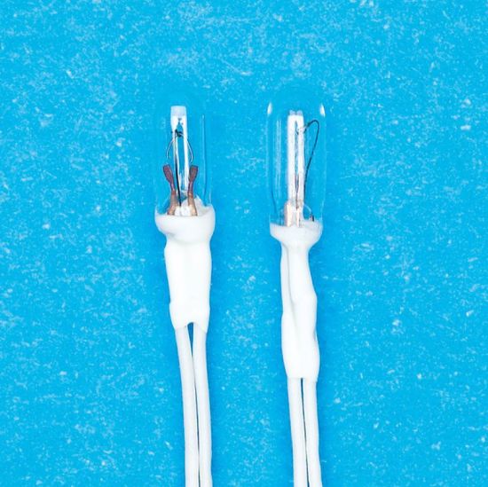 2x 12V Grain of Wheat Bulbs
