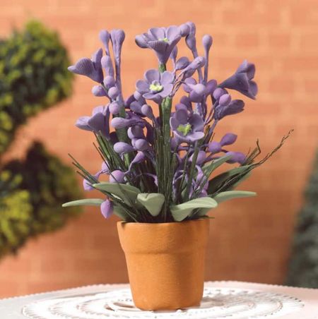 Lilac Potted Plant