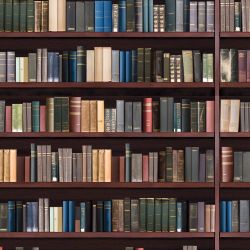Traditional Library Shelves Wallpaper
