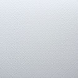 Embossed Anaglypla Flowers Ceiling Paper