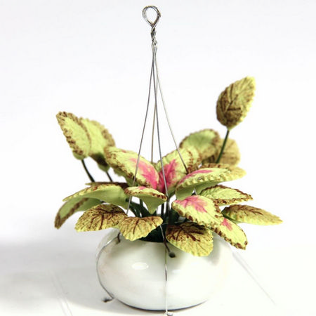 Flowers in Hanging Basket