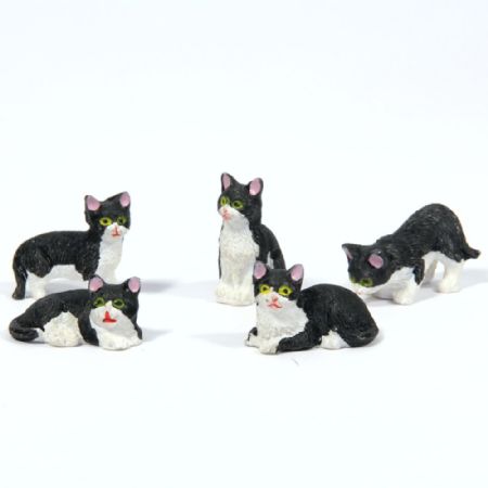 Black & White Cats x5 Assorted