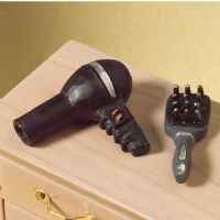 Hairdryer and Hairbrush