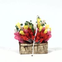 Floral Plants in Container