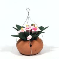 Flowers in Hanging Basket