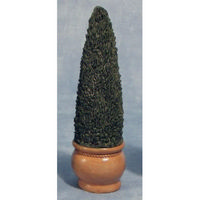 Potted Conifer Tree